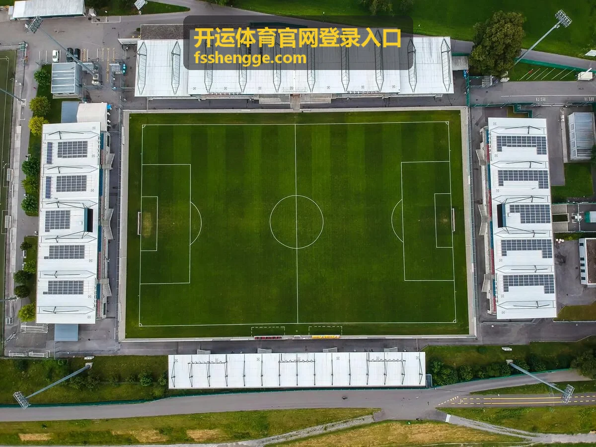 开运体育官网登录入口输入框无响应处理图